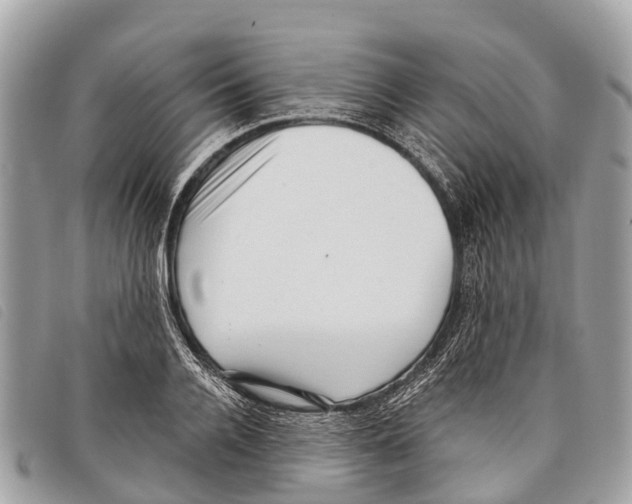 X0000097850936200804111125