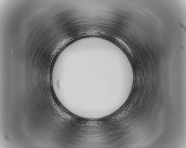 X0000097850938200804111125