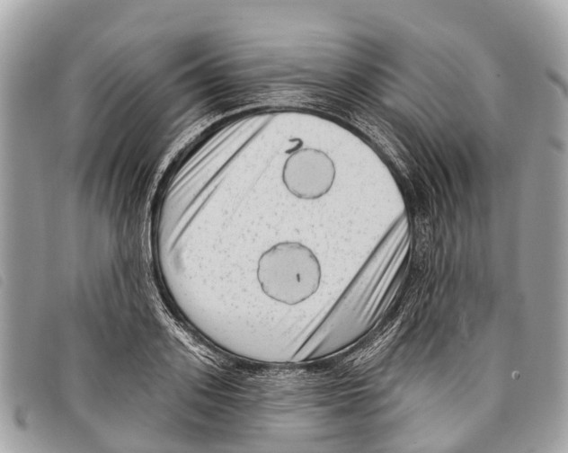 X0000097850939200804111125