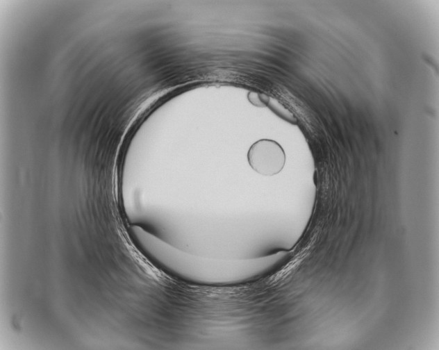 X0000097850940200804111125