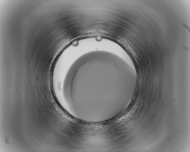 X0000097850941200804111125