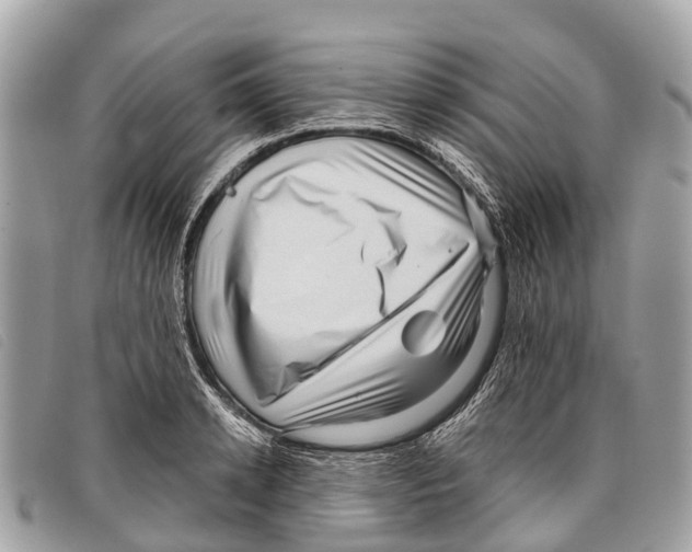 X0000097850942200804111125