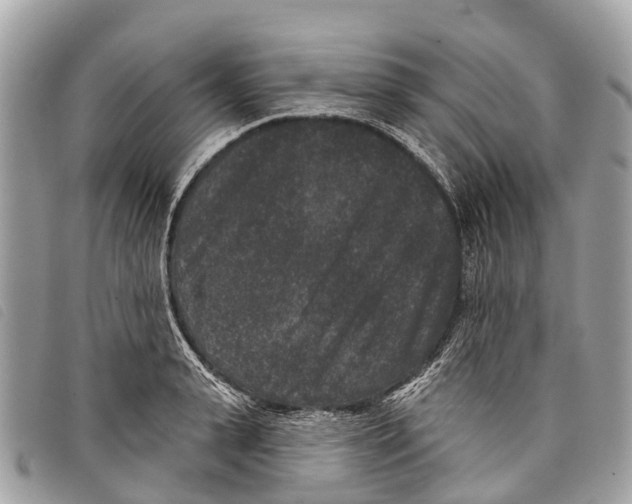 X0000097850943200804111125