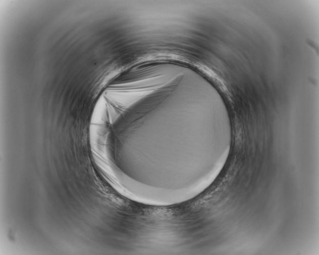 X0000097850945200804111125