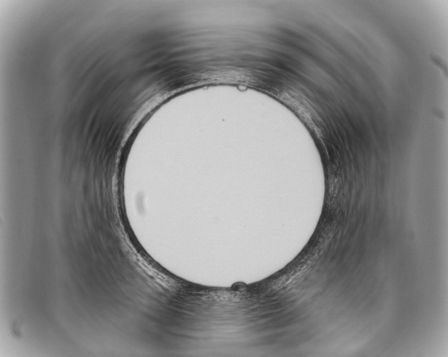 X0000097850947200804111125