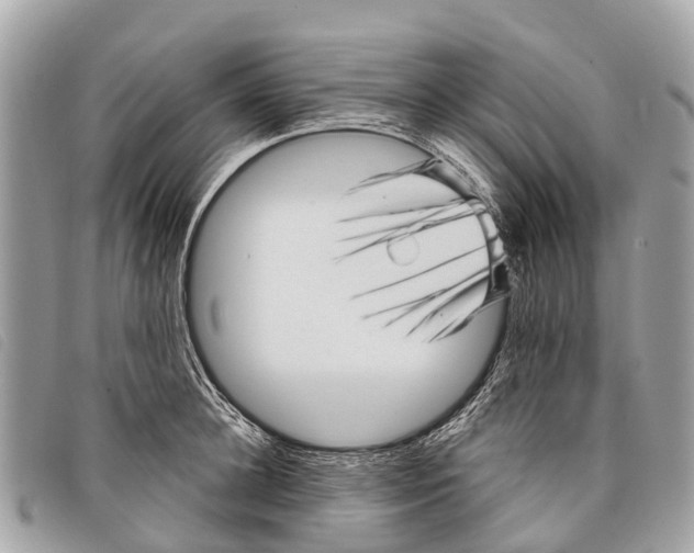 X0000097850948200804111125