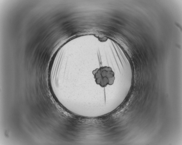 X0000097850949200804111125