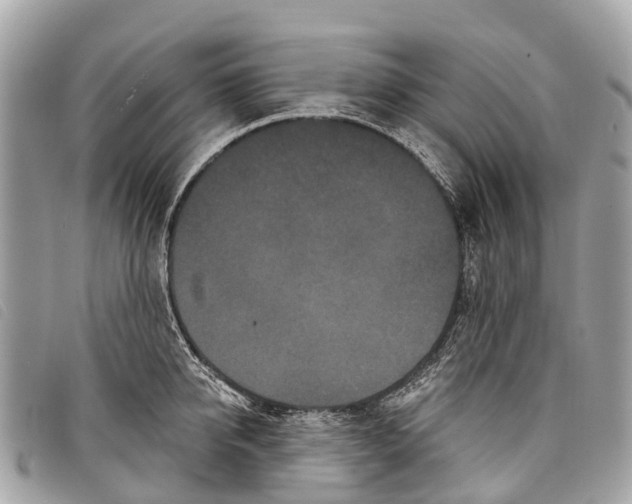 X0000097850950200804111125