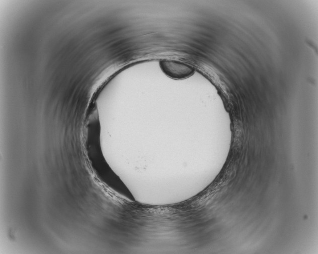 X0000097850952200804111125