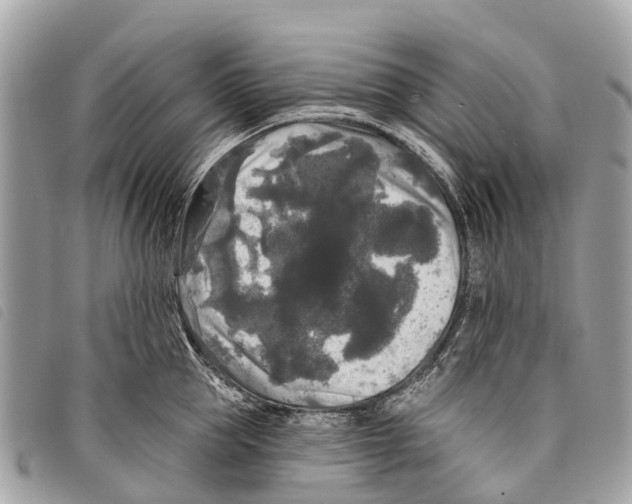 X0000097850953200804111125