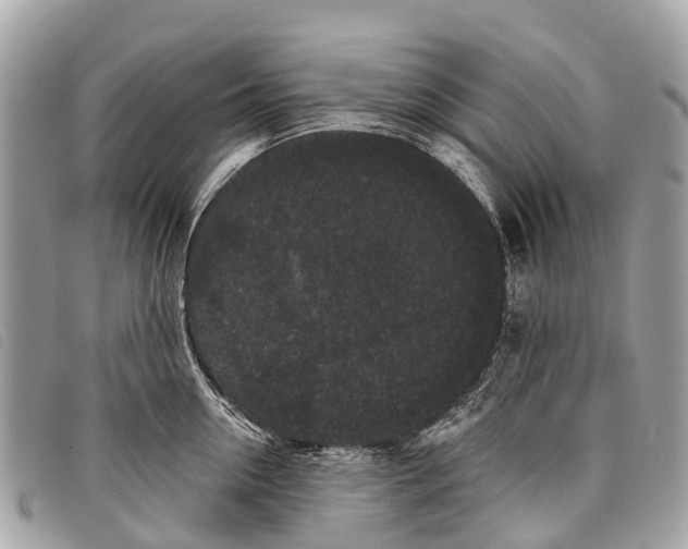 X0000097850954200804111125