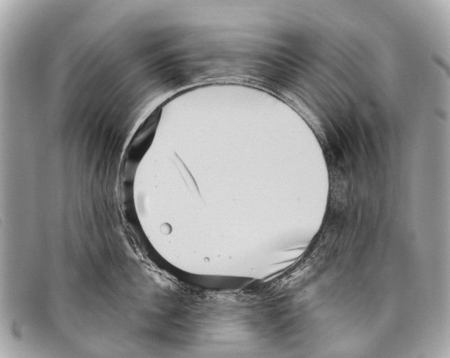 X0000097850956200804111125