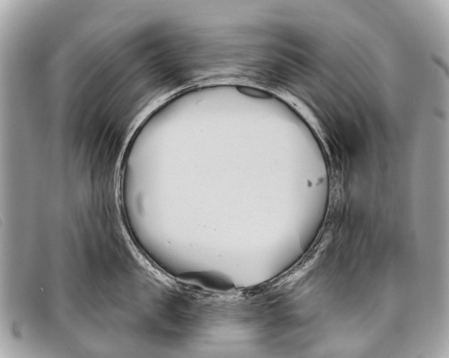 X0000097850957200804111125