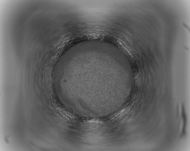 X0000097850961200804111125