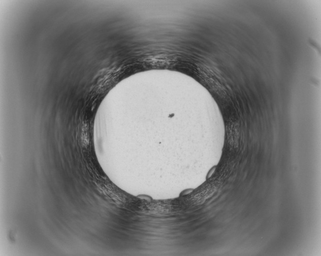 X0000097850962200804111125