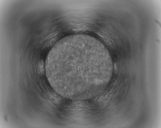 X0000097850963200804111125