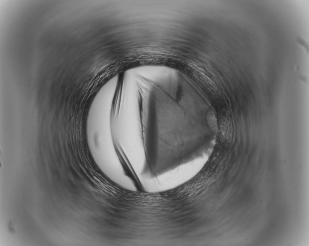 X0000097850964200804111125