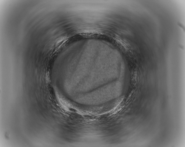 X0000097850965200804111125