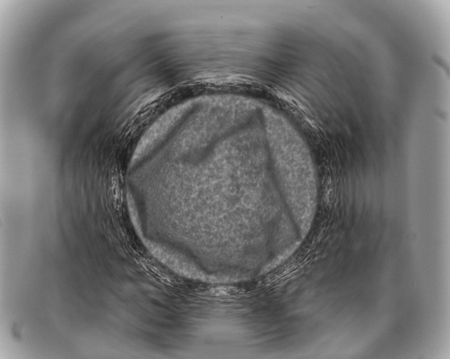 X0000097850966200804111124