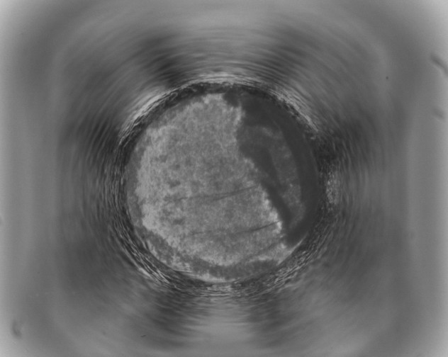 X0000097850968200804111124