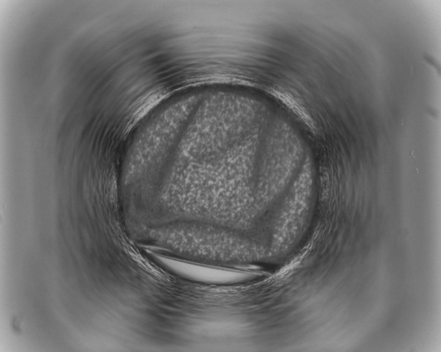 X0000097850969200804111124