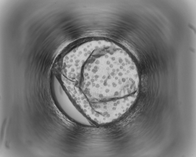 X0000097850972200804111124