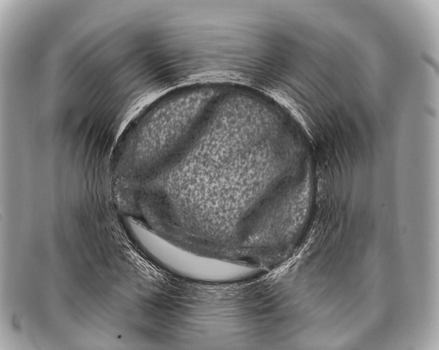 X0000097850973200804111124