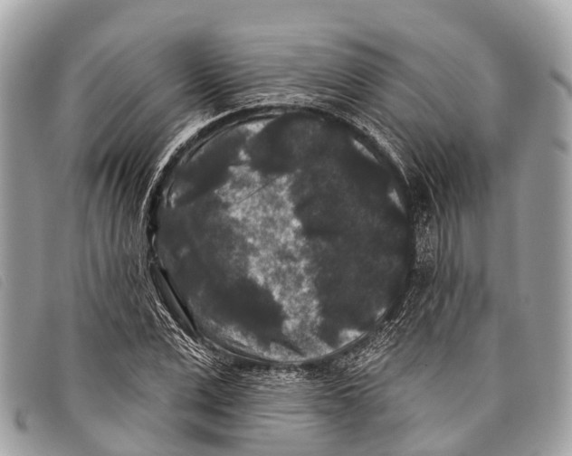 X0000097850975200804111124