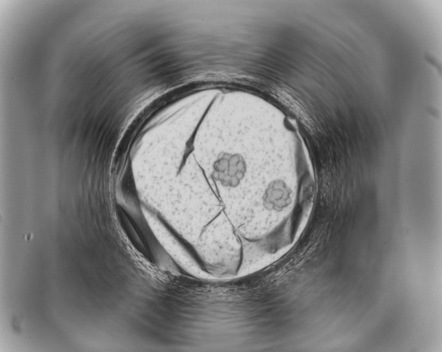 X0000097850976200804111124