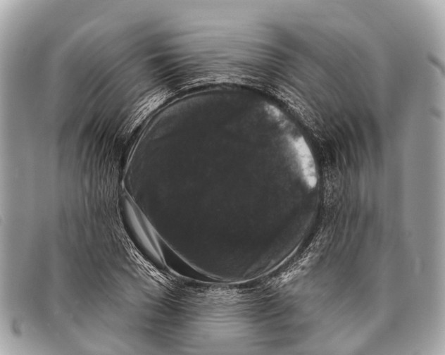 X0000097850977200804111124