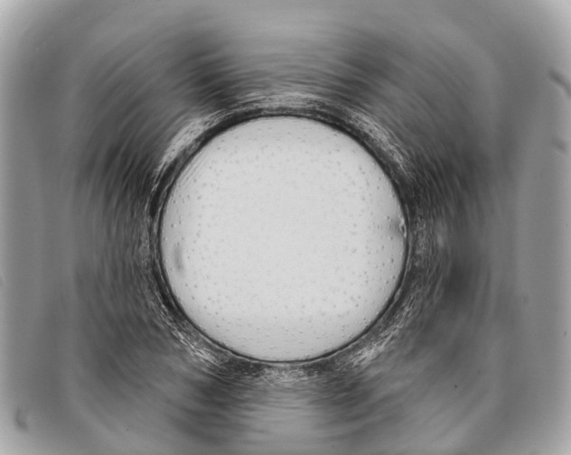 X0000097850978200804111124