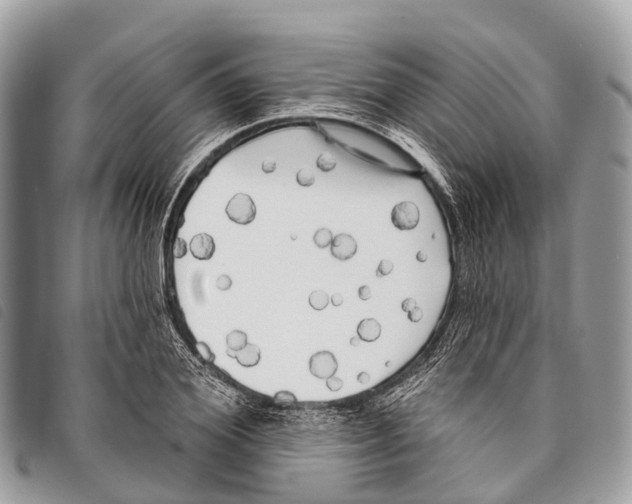 X0000097850980200804111124