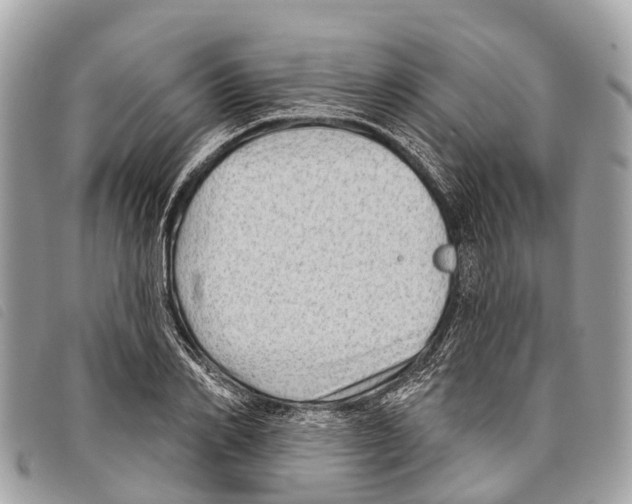 X0000097850982200804111124