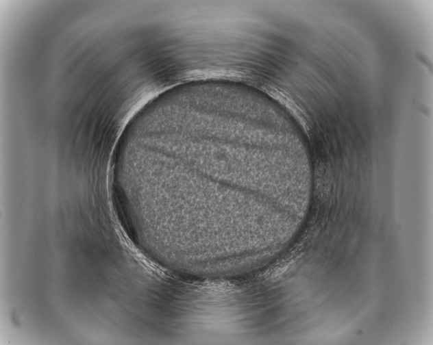 X0000097850983200804111124