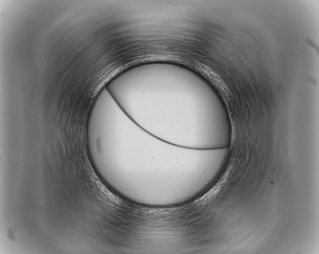 X0000097850985200804111124