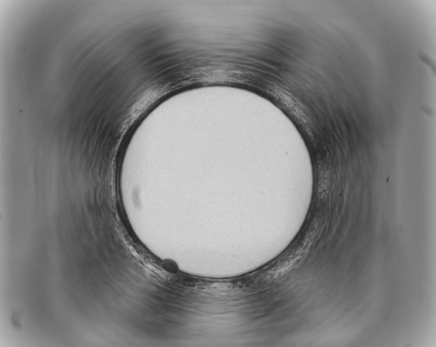 X0000097850986200804111124