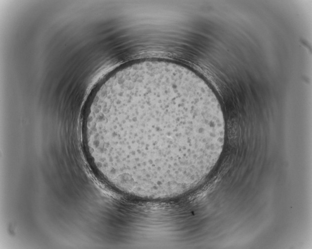 X0000097850987200804111124