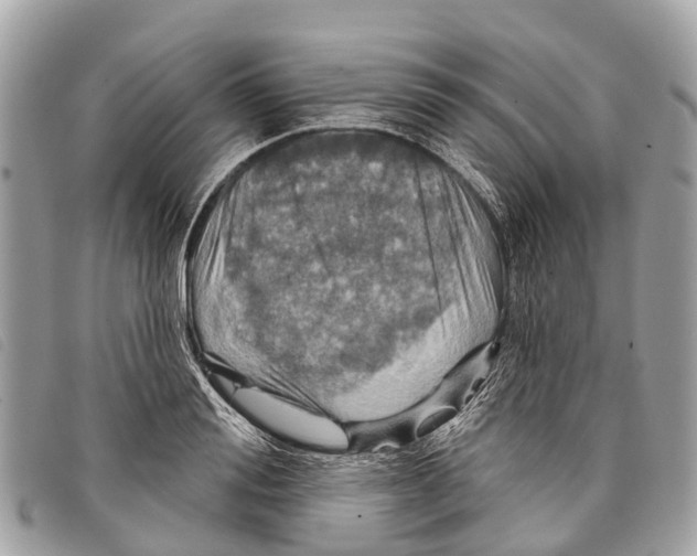 X0000097850988200804111124