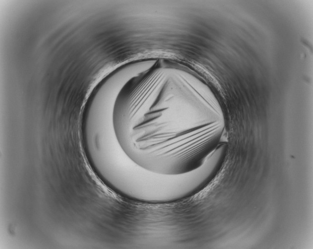 X0000097850989200804111124