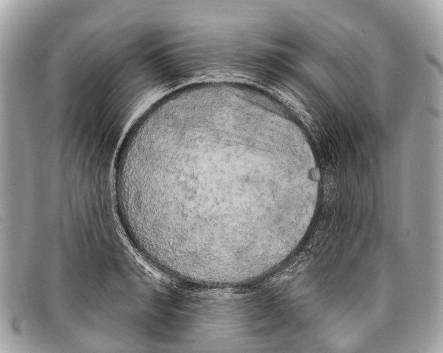 X0000097850990200804111124