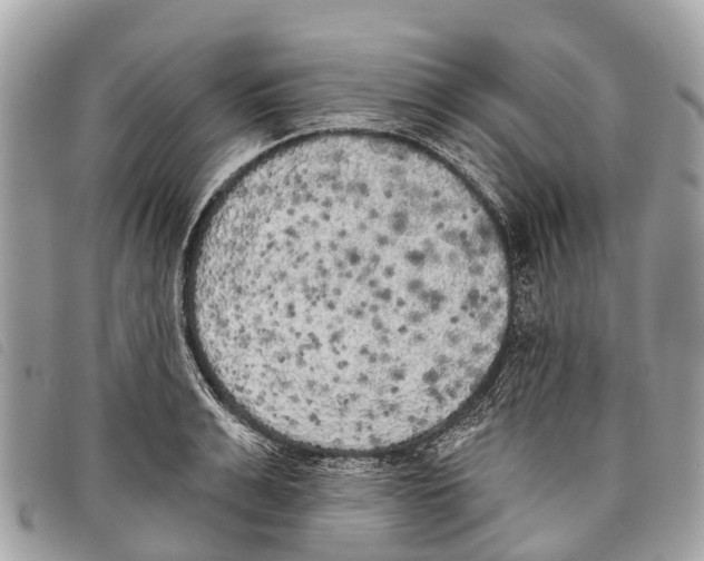 X0000097850991200804111124