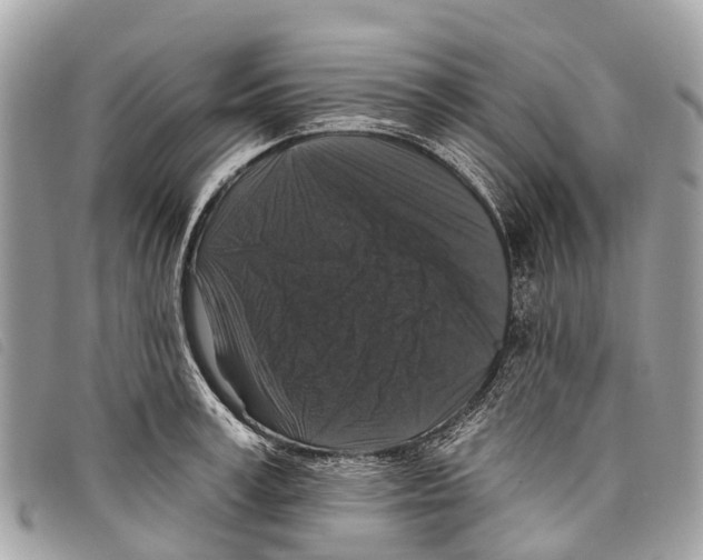 X0000097850995200804111124