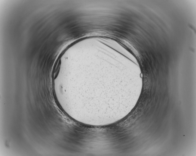 X0000097850996200804111124