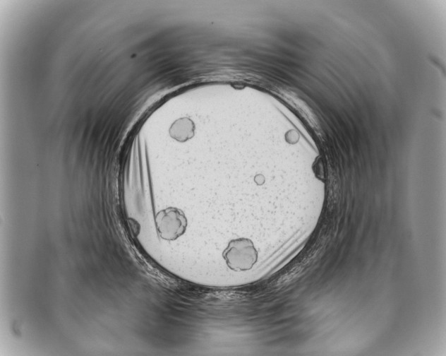 X0000097851000200804111124