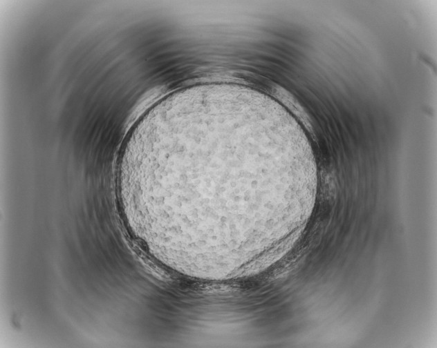 X0000097851002200804111124