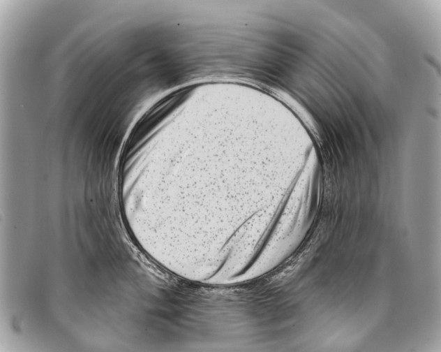 X0000097851004200804111124