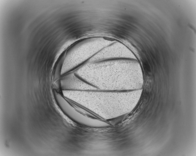 X0000097851005200804111124