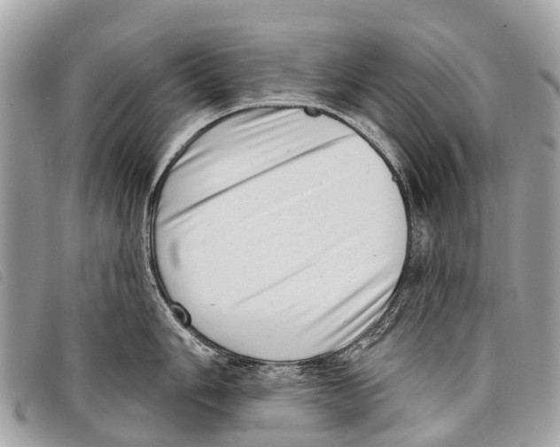 X0000097851006200804111124