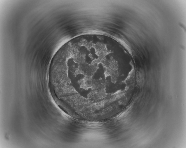 X0000097851007200804111124