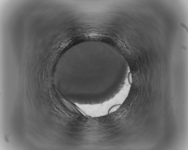 X0000097851009200804111123